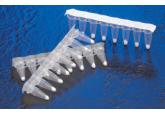 RNA to cDNA EcoDry Premix