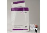 SYBR Green qPCR Master Mix - SYBR A...