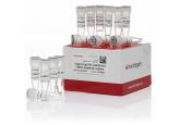 SuperScript® III CellsDirect™ cDNA Synthesis Kit