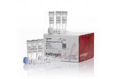 ThermoScript™ RT-PCR System for First-Strand cDNA Synthesis