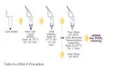 Cells-to-cDNA™ II Kit