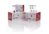 GeneArt® Gene Synthesis Kit