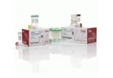 GeneArt® Seamless PLUS Cloning and Assembly Kit