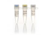 Maxima First Strand cDNA Synthesis ...