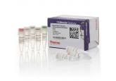 Maxima H Minus First Strand cDNA Synthesis Kit, with dsDNase