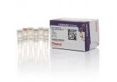 Maxima H Minus First Strand cDNA Sy...