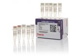 RevertAid H Minus First Strand cDNA Synthesis Kit