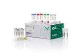 FirstChoice® RLM-RACE Kit with Manu...
