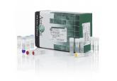 RETROscript® Reverse Transcription Kit