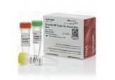 GeneArt® Type IIs Assembly Kit, Bsa...