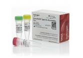 GeneArt® Type IIs Assembly Kit, Bbs...