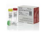 GeneArt® Type IIs Assembly Kit, Aar...