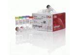 GeneArt® Site-Directed Mutagenesis ...