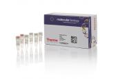 RevertAid RT Reverse Transcription Kit
