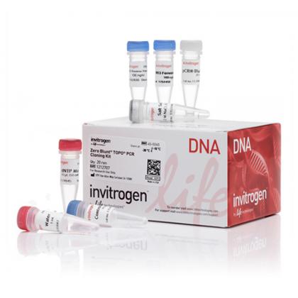 Zero Blunt® TOPO® PCR Cloning Kit, without competent cells