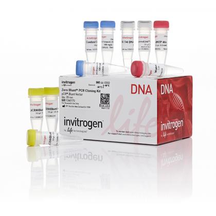 Zero Blunt® PCR Cloning Kit, without competent cells