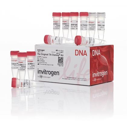 TA Cloning® Kit, with pCR™2.1 Vector, without competent cells