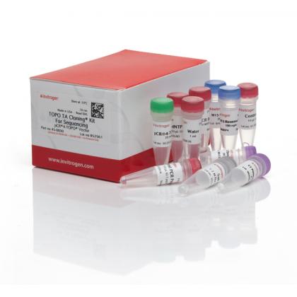 TOPO® TA Cloning® Kit for Sequencing, without competent cells