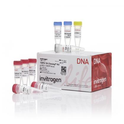 TOPO® TA Cloning® Kit for Subcloning, without competent cells