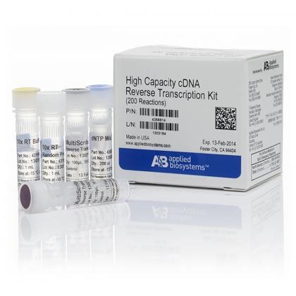 High Capacity cDNA Reverse Transcription Kit