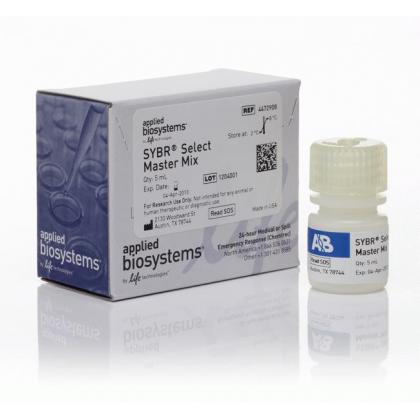 SYBR® Select Master Mix