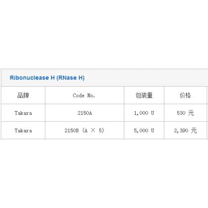 Ribonuclease H (RNase H)