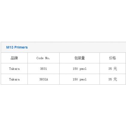 M13 Primers