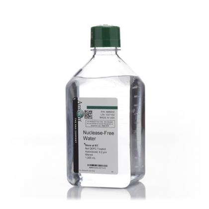 Nuclease-Free Water (not DEPC-Treated)