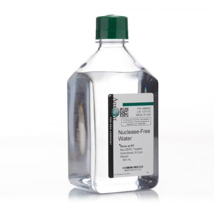 Nuclease-Free Water (not DEPC-Treated)