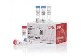 Zero Blunt® TOPO® PCR Cloning Kit, without competent cells