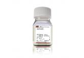 Antibiotic-Antimycotic, 100X