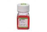 TrypLE™ Express (1X), Phenol Red