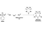 MethElute™ 试剂 (TMPAH)