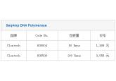 SeqAmp DNA Polymerase
