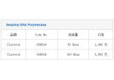 SeqAmp DNA Polymerase