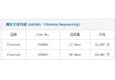 测序文库构建 (dsDNA) （Illumina Sequencing）