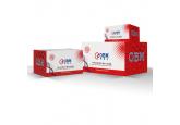 Thrombospondin Antibody