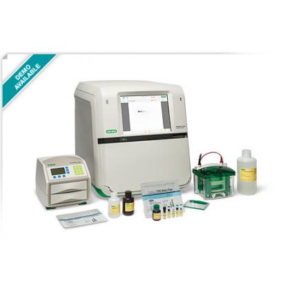 ChemiDoc™ Touch Gel Imaging System