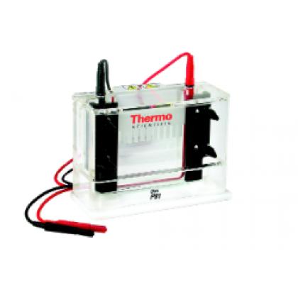 Owl™ P81 Single-Sided Vertical Electrophoresis System