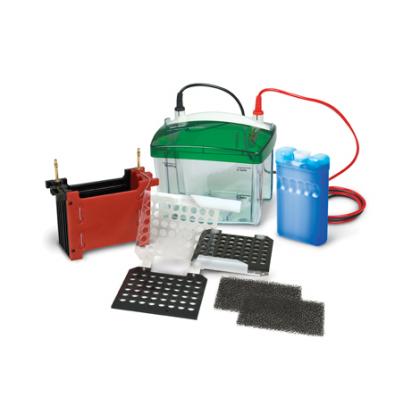 小型 Mini Trans-Blot® 转印槽
