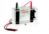Owl™ P81 Single-Sided Vertical Electrophoresis System