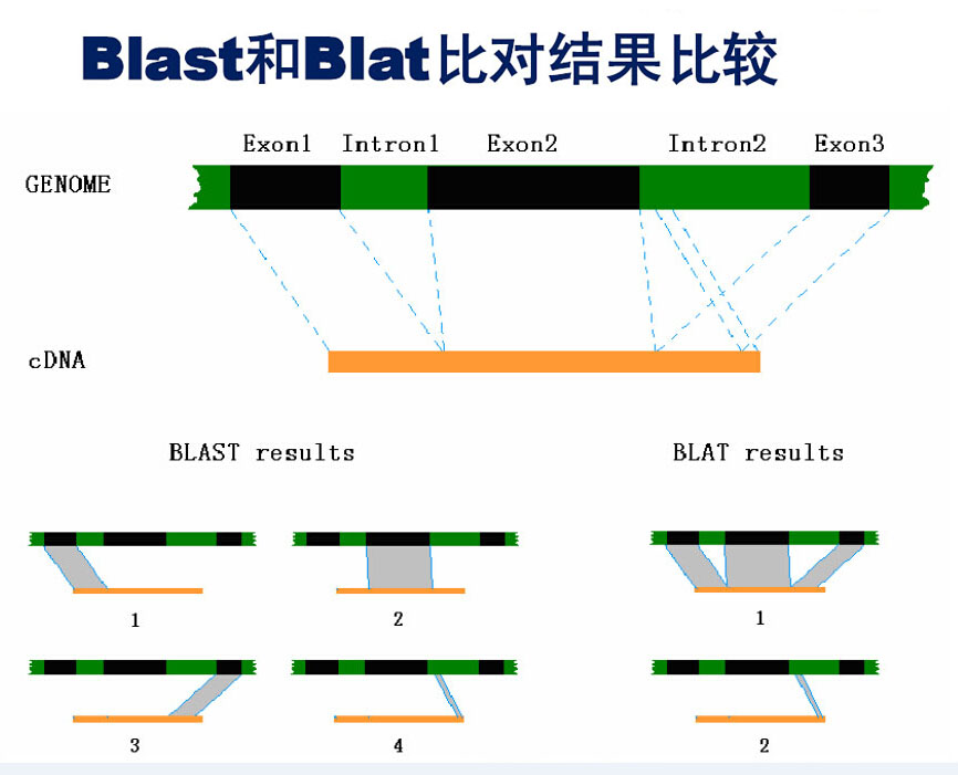 1432719583611395.jpg blast.jpg