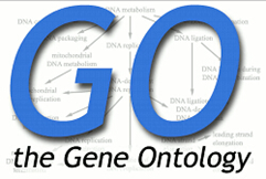 blob23130214.png blob.png