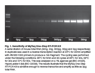 mytaq one-step RT-PCR.png