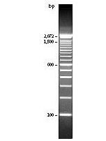 blob40672586.png blob.png