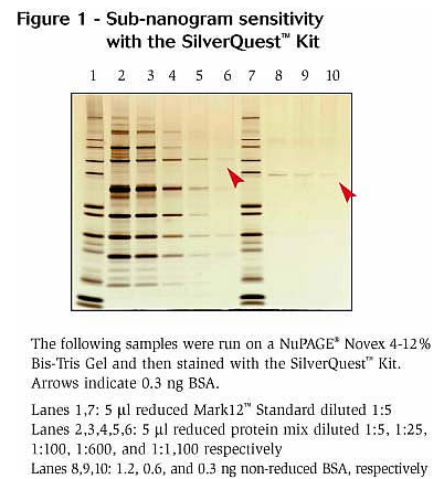 blob37615010.png blob.png