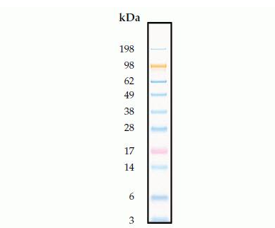 blob51138041.png blob.png