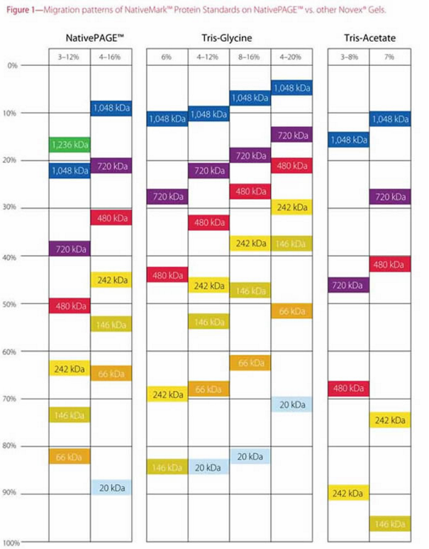 blob75440516.png blob.png